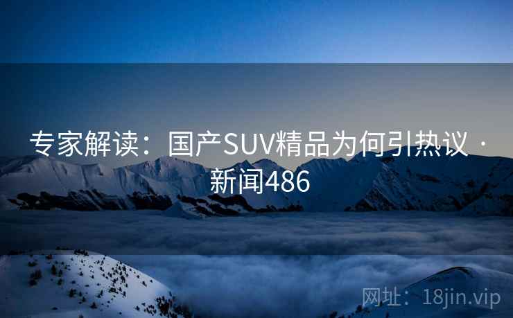 专家解读:国产SUV精品为何引热议 · 新闻486